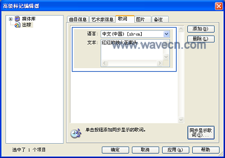 Windows Media Player Media Library Advanced Tag Editor